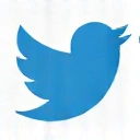 Twitter Icon