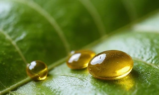 Oil droplets gently falling onto a natural leaf