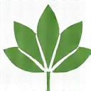 Icon representing general wellness, such as a stylized leaf or a protective shield.